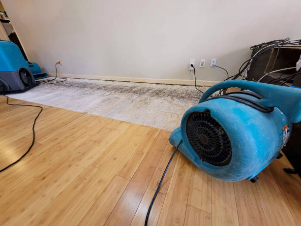 Professional Burst Pipe Water Damage technician working in Mooreland, OK